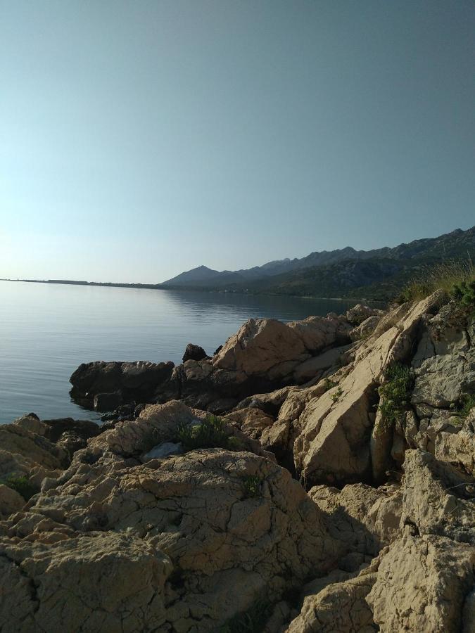 Apartman Larus Starigrad Paklenica Buitenkant foto