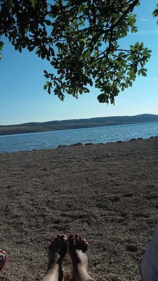 Apartman Larus Starigrad Paklenica Buitenkant foto